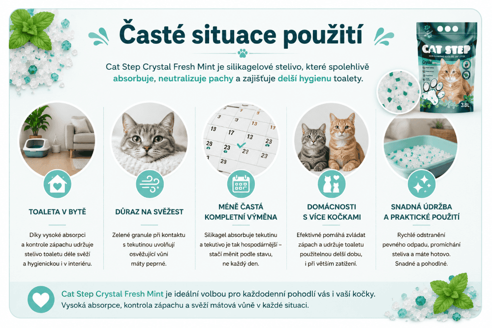 Průvodce použitím steliva Fresh Mint